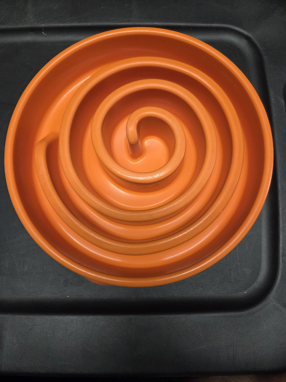 Outward Hound Fun Feeder Spiral Pet Slow Feeder Bowl